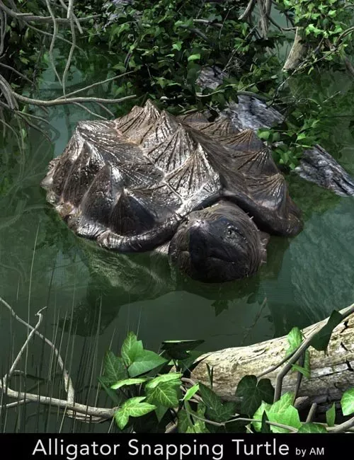 Alligator Snapping Turtle