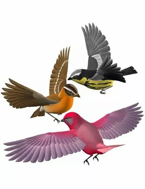 Songbird