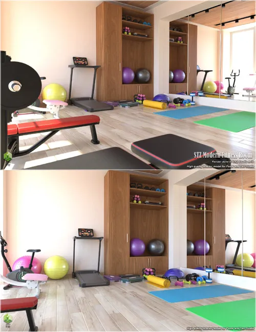 STZ Modern Fitness Room