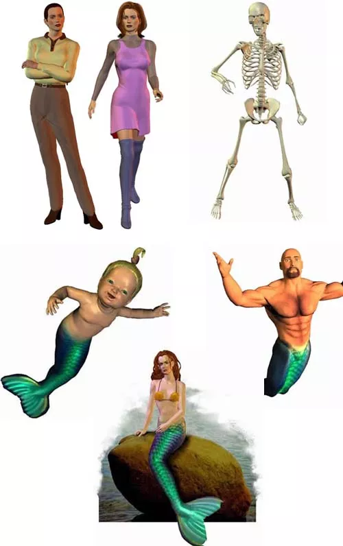 OLD 3D COLECTION 5-11-2025