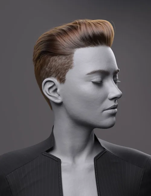 dForce FV Executive Pompadour Hair for Genesis 9