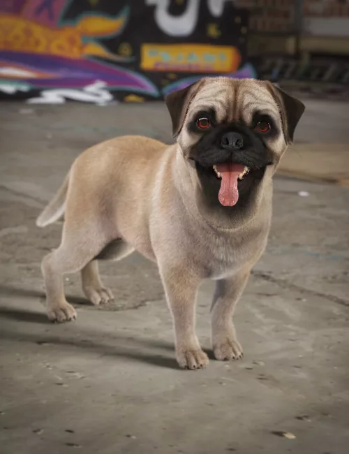 Pug for Daz Dog 8