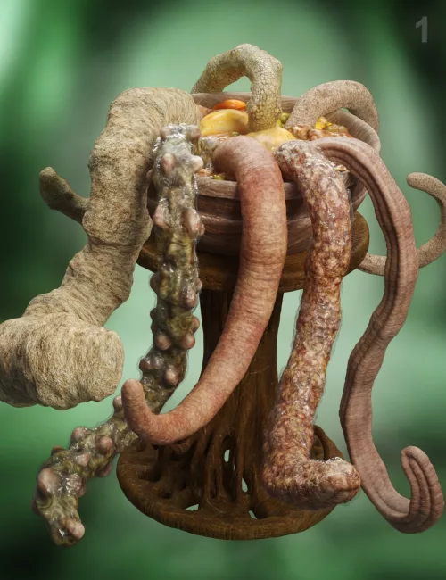 Raw Deals - Tentacle Stew First Course