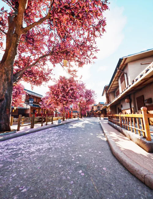 XI Blossom Street